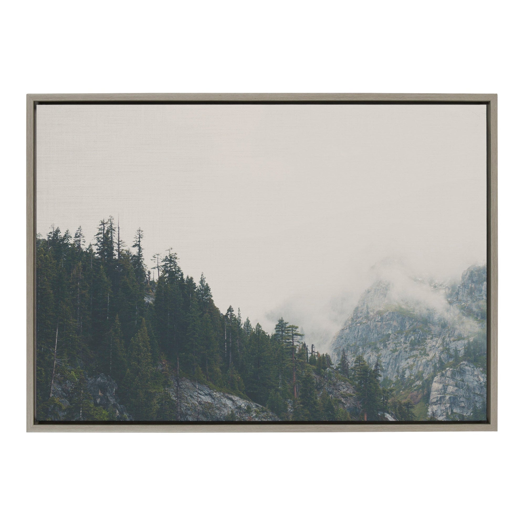 Sylvie The Power of Imagination Framed Canvas by Laura Evans by kateandlaurel - main product image for Resin Society
