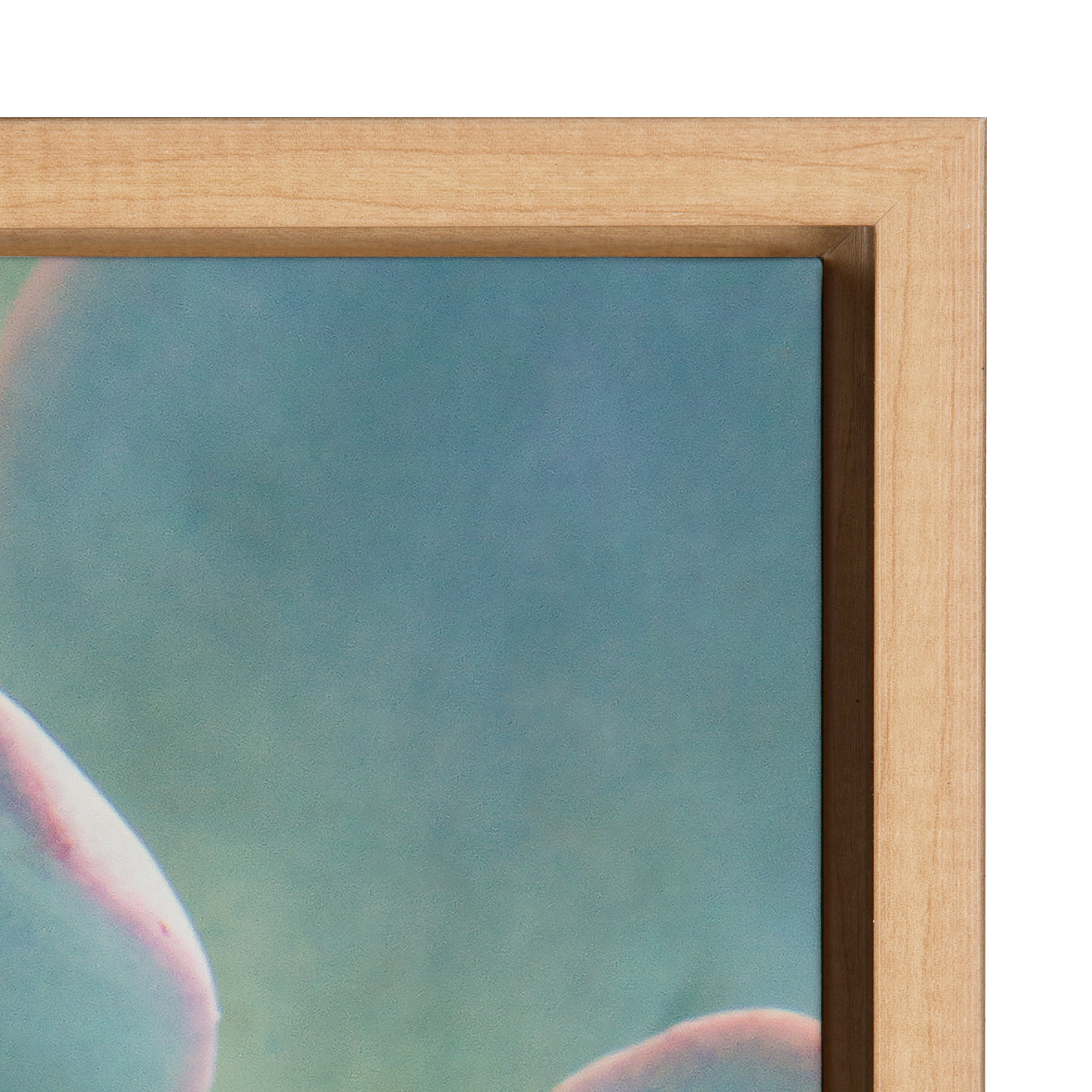Sylvie Succulent 7 Framed Canvas by kateandlaurel - product image 3 for Resin Society