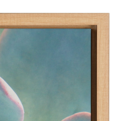Sylvie Succulent 7 Framed Canvas by kateandlaurel - product image 3 for Resin Society