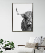 Black and white close-up portrait of a Highland cow with long fur and one visible horn, framed on a white wall above a beige armchair and green plant.