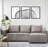 Sylvie Tree Rings Set Framed Canvas by kateandlaurel - product image 16 for Resin Society