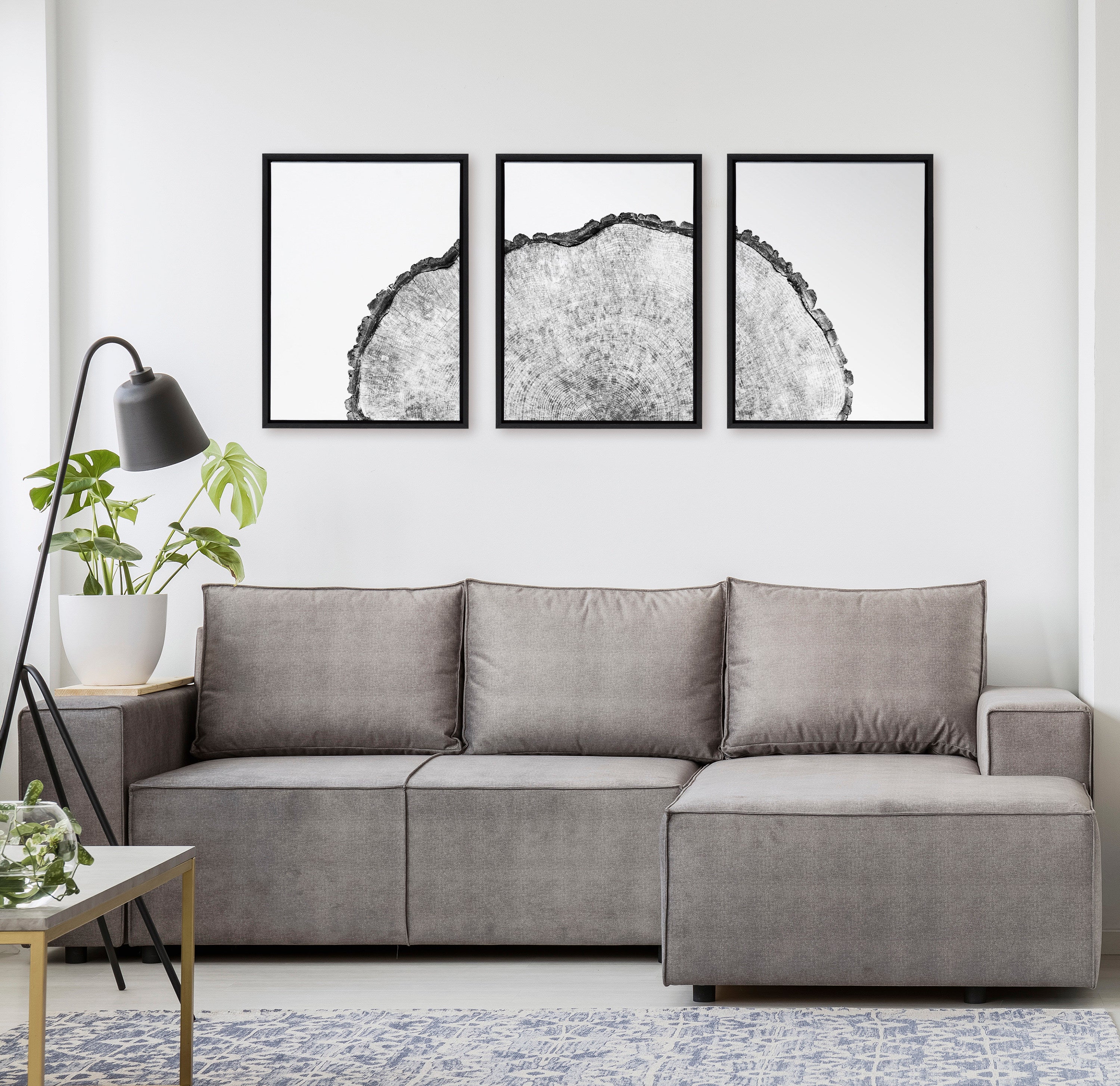 Sylvie Tree Rings Set Framed Canvas by kateandlaurel - product image 16 for Resin Society
