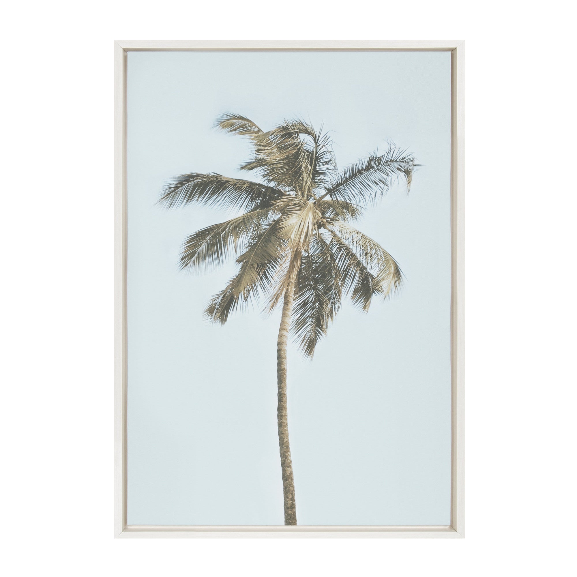 Sylvie One Coconut Palm Tree Framed Canvas by The Creative Bunch Studio by kateandlaurel - main product image for Resin Society