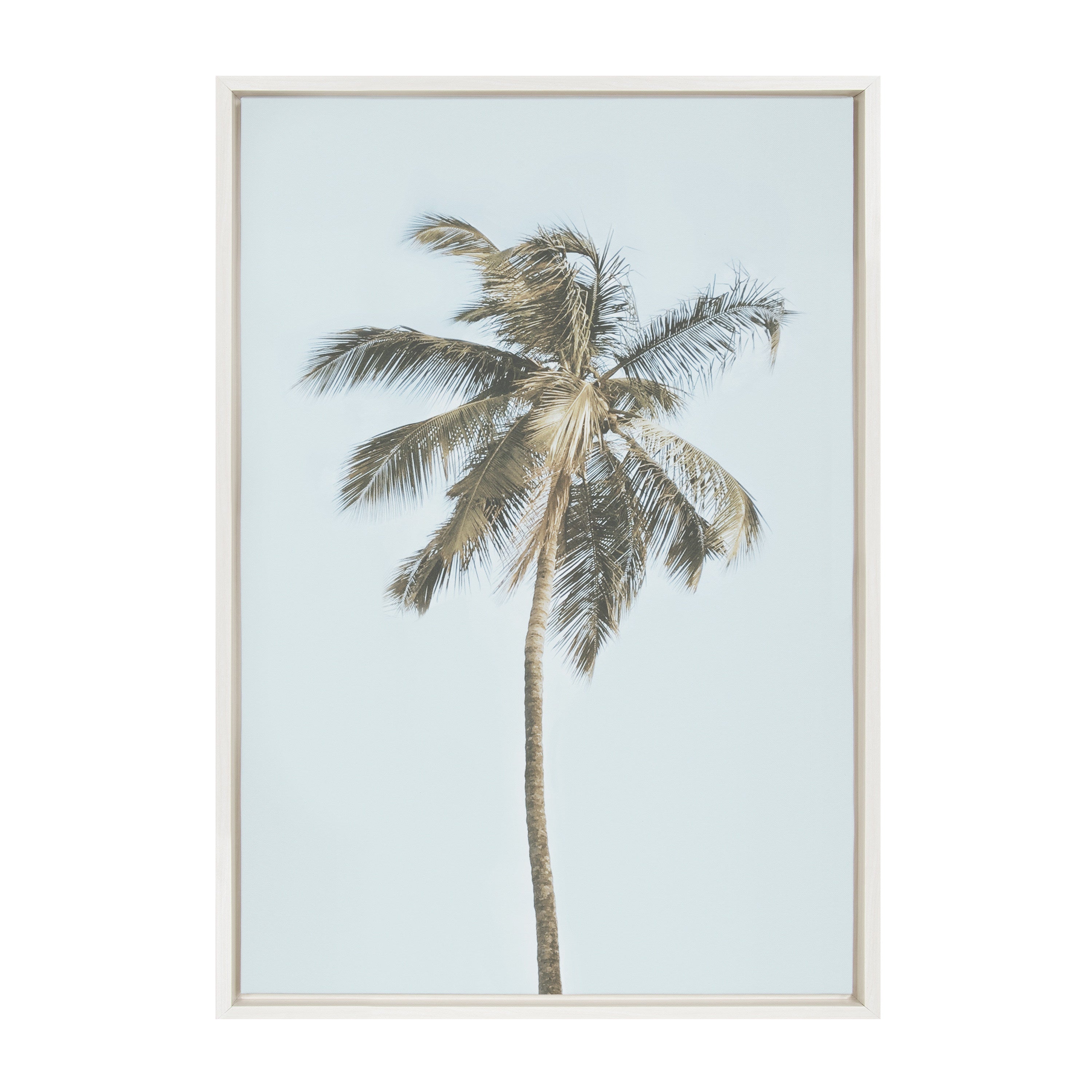 Sylvie One Coconut Palm Tree Framed Canvas by The Creative Bunch Studio by kateandlaurel - main product image for Resin Society