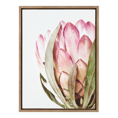 Sylvie Pink Protea Flower Framed Canvas by Amy Peterson by kateandlaurel - product image 14 for Resin Society