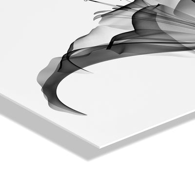 Lily X Ray Floral Floating Acrylic Art by The Creative Bunch Studio by kateandlaurel - product image 3 for Resin Society