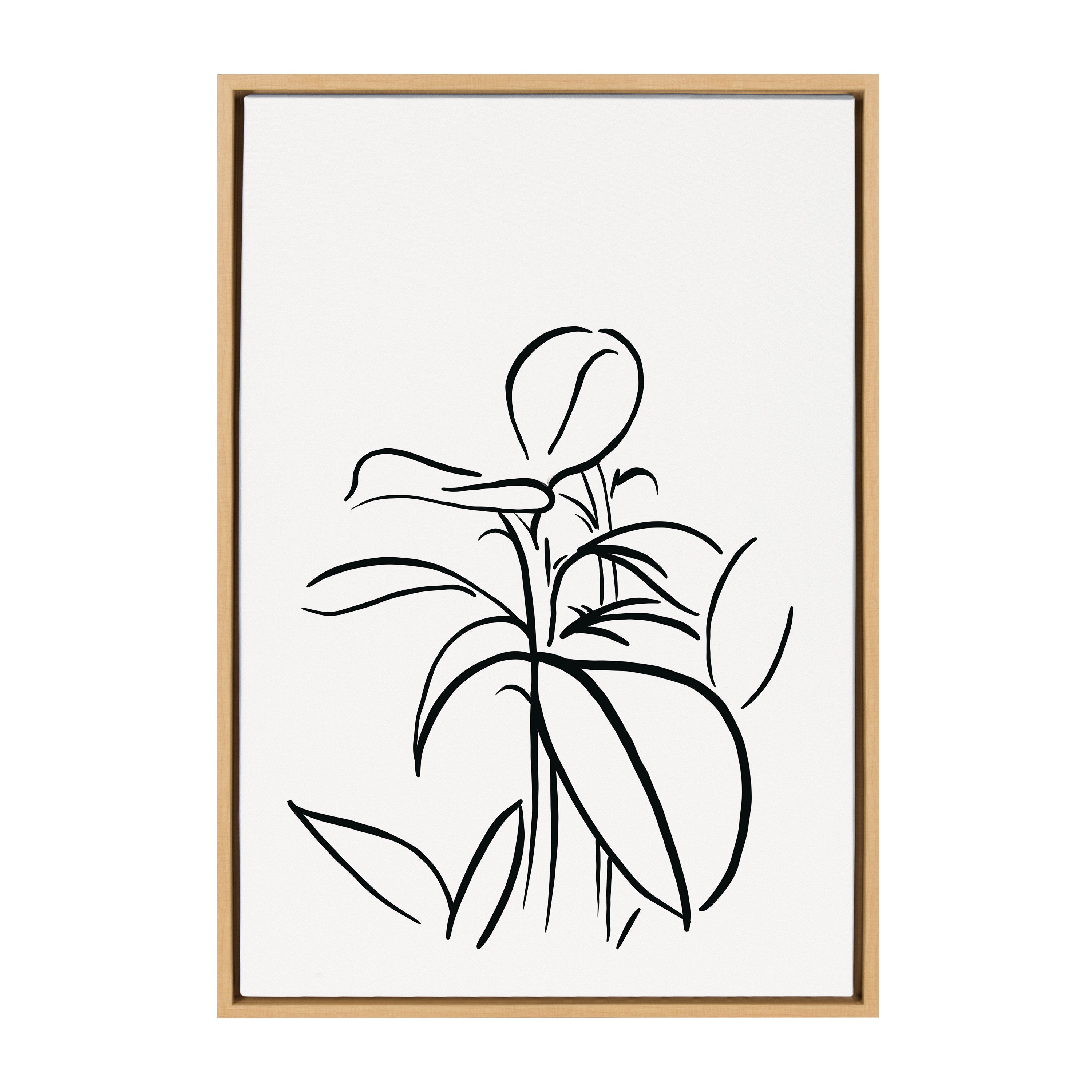Sylvie Botanical Sketch Print No 1 Framed Canvas by kateandlaurel - product image 10 for Resin Society