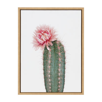 Sylvie Pink Cactus Flower Framed Canvas by Amy Peterson Art Studio