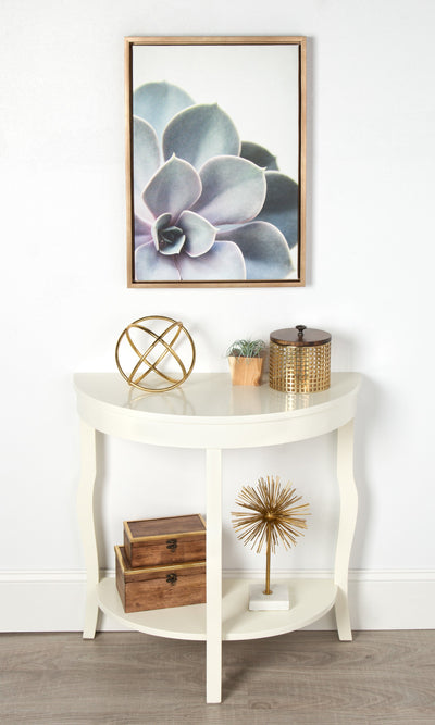 Sylvie Succulent 5 Framed Canvas by F2 Images by kateandlaurel - product image 11 for Resin Society
