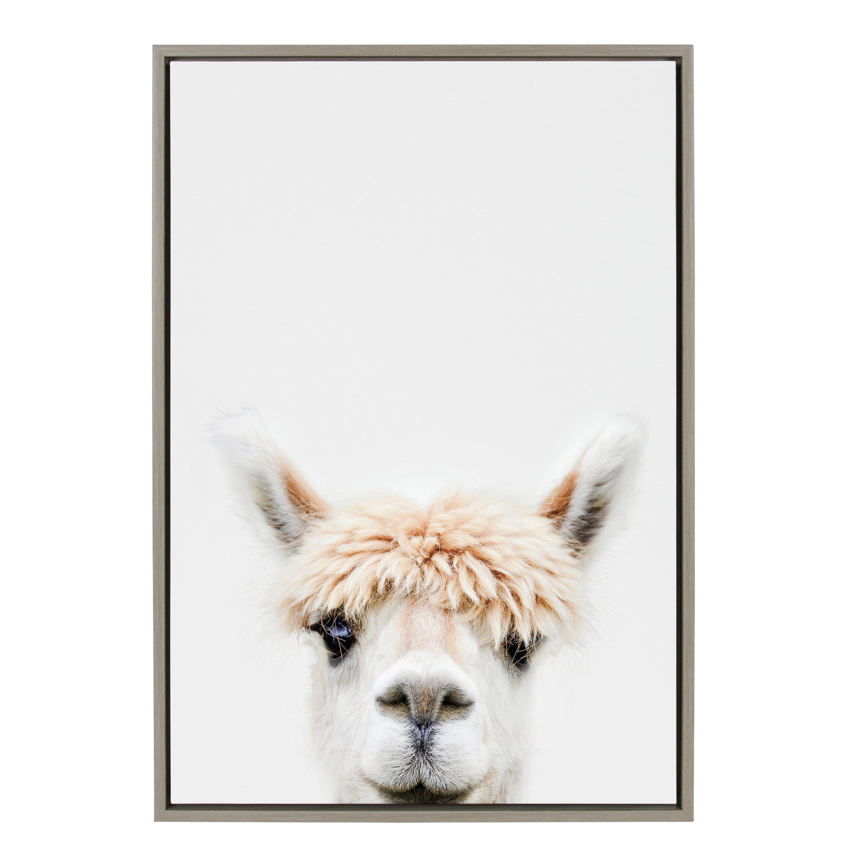 Sylvie Alpaca Bangs Framed Canvas by Amy Peterson Art Studio by kateandlaurel - product image 10 for Resin Society