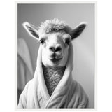 Black and white portrait of a llama wearing a soft white bathrobe, facing forward with a neutral expression against a blurred light background.