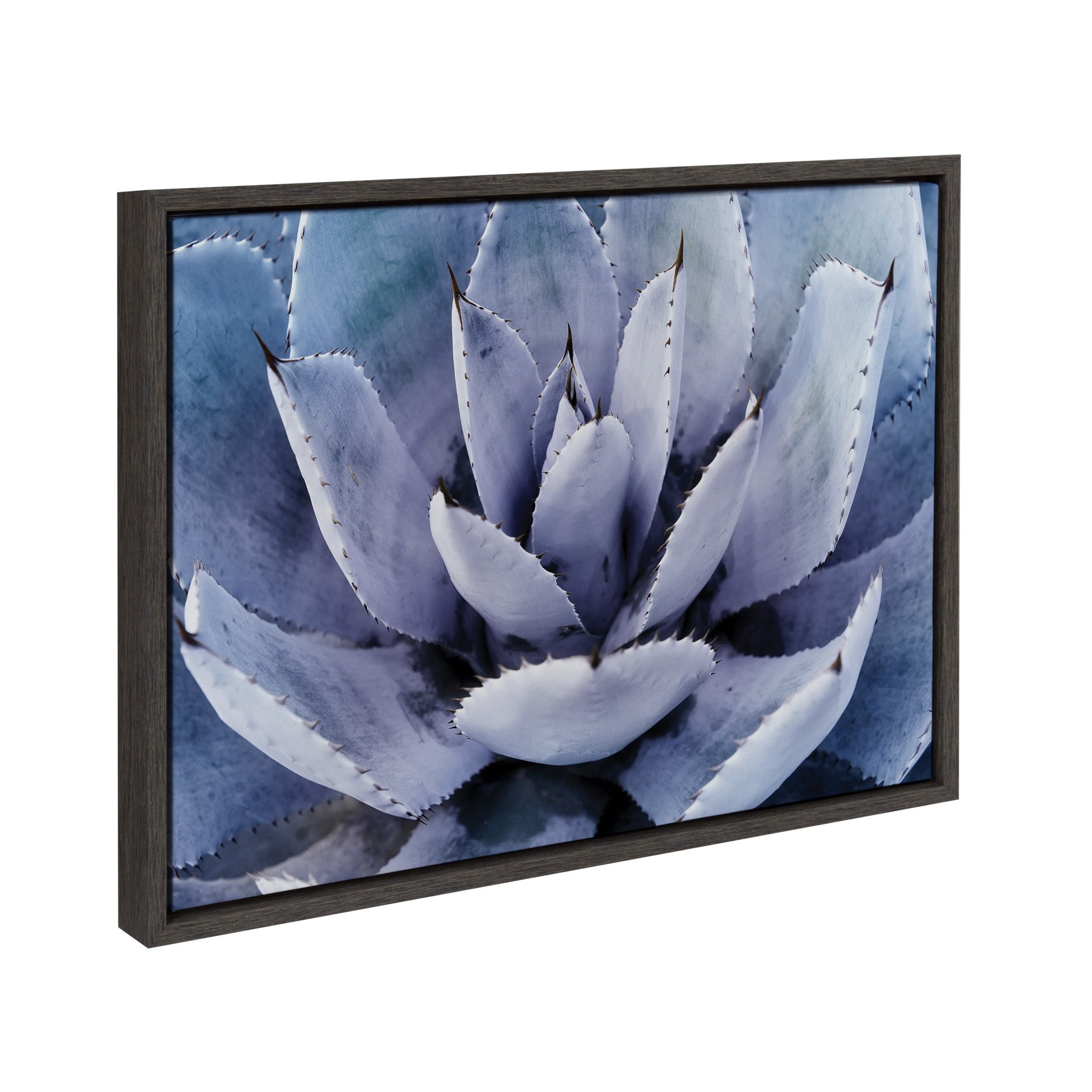 Sylvie Violet Cactus Framed Canvas by Amy Peterson by kateandlaurel - product image 2 for Resin Society