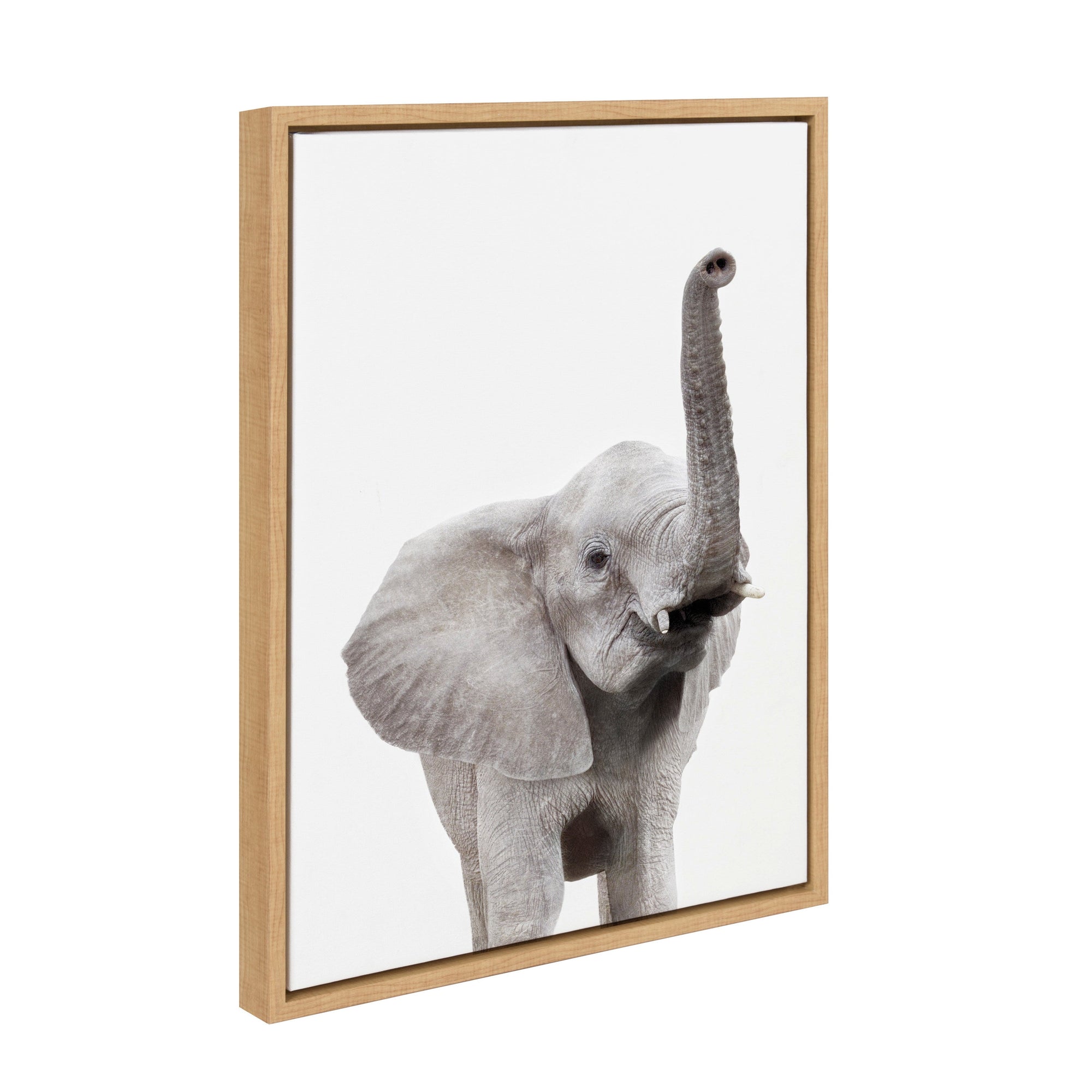Sylvie Young Elephant Framed Canvas by Amy Peterson by kateandlaurel - main product image for Resin Society
