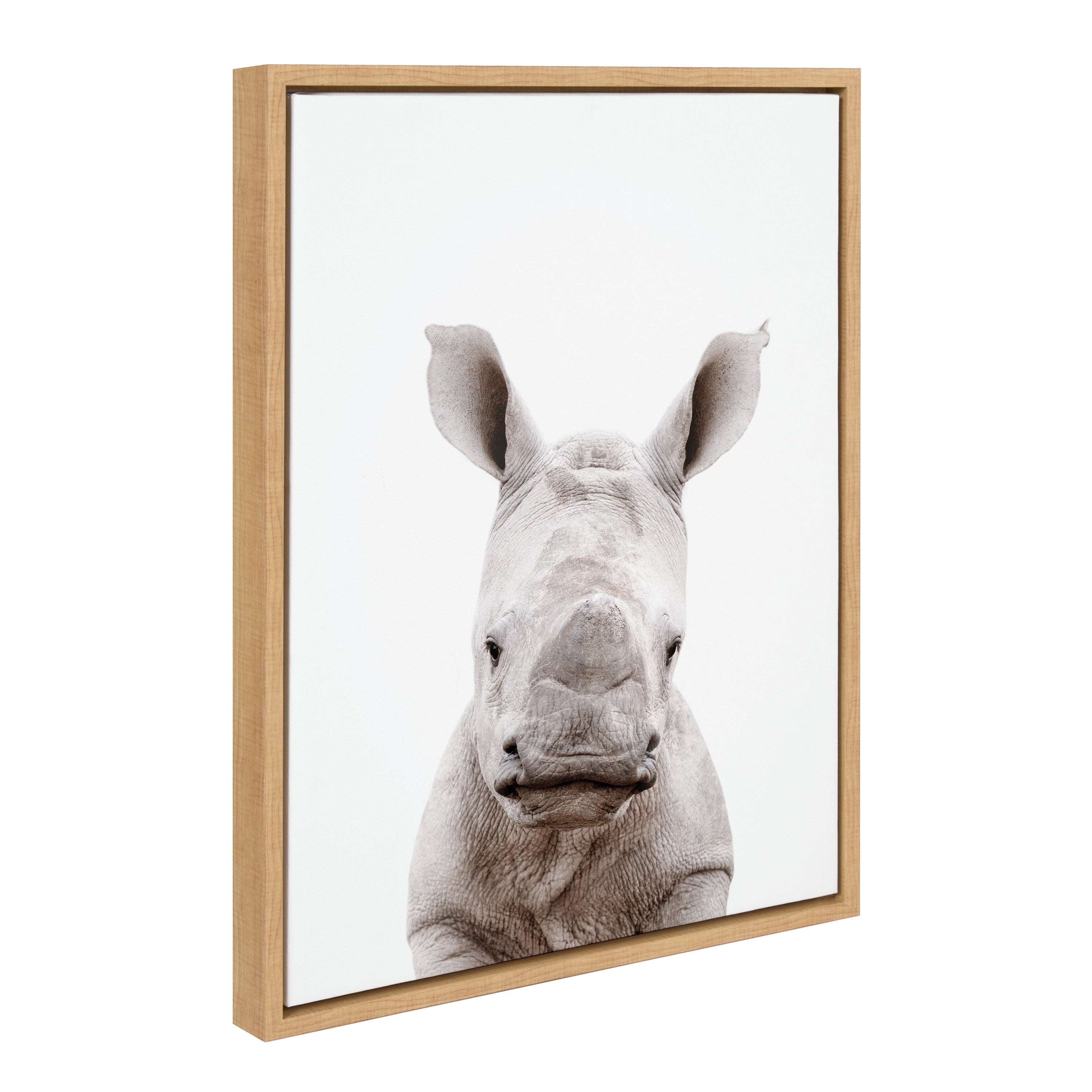 Sylvie Animal Studio Baby Rhino Framed Canvas by Amy Peterson Art Studio