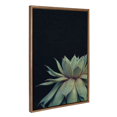 Sylvie Succulent Framed Canvas Set by Emiko and Mark Franzen of F2Images by kateandlaurel - product image 2 for Resin Society