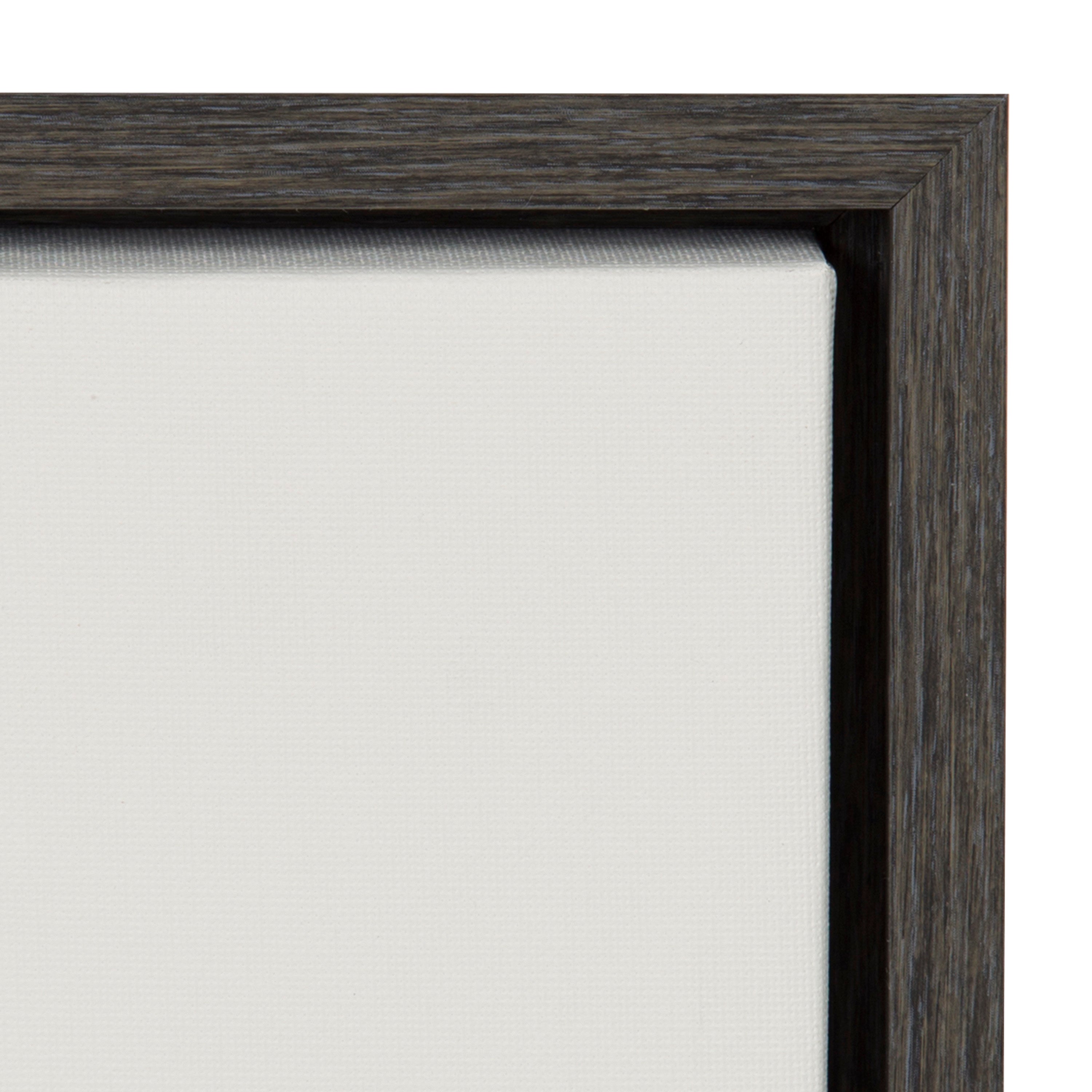 Sylvie Haze Cactus Succulent Tall Framed Canvas by kateandlaurel - product image 12 for Resin Society