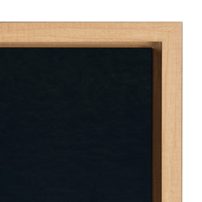 Sylvie Succulent 16 Framed Canvas by kateandlaurel - product image 3 for Resin Society
