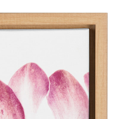 Sylvie Pink Protea Flower Framed Canvas by Amy Peterson