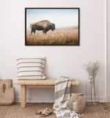 Framed canvas photo of a lone American bison standing in golden prairie grass under a pale blue sky, displayed above a wooden bench with striped textiles.
