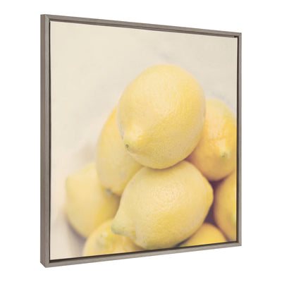 Sylvie Lemons Framed Canvas by kateandlaurel - product image 2 for Resin Society