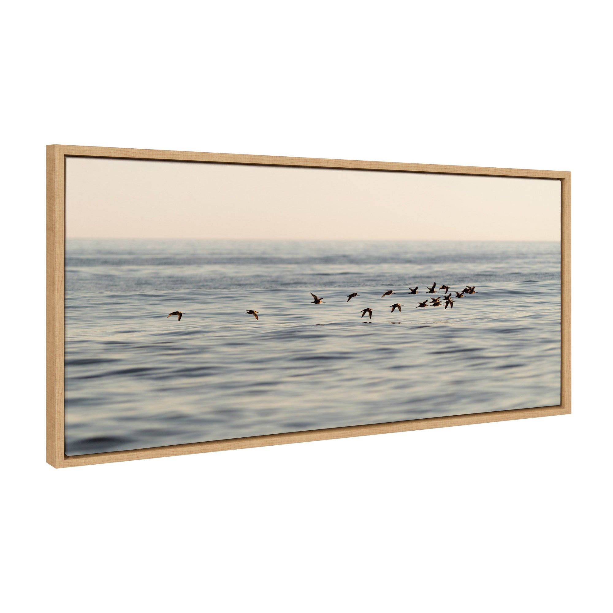 Sylvie Birds of a Feather Framed Canvas by kateandlaurel - main product image for Resin Society