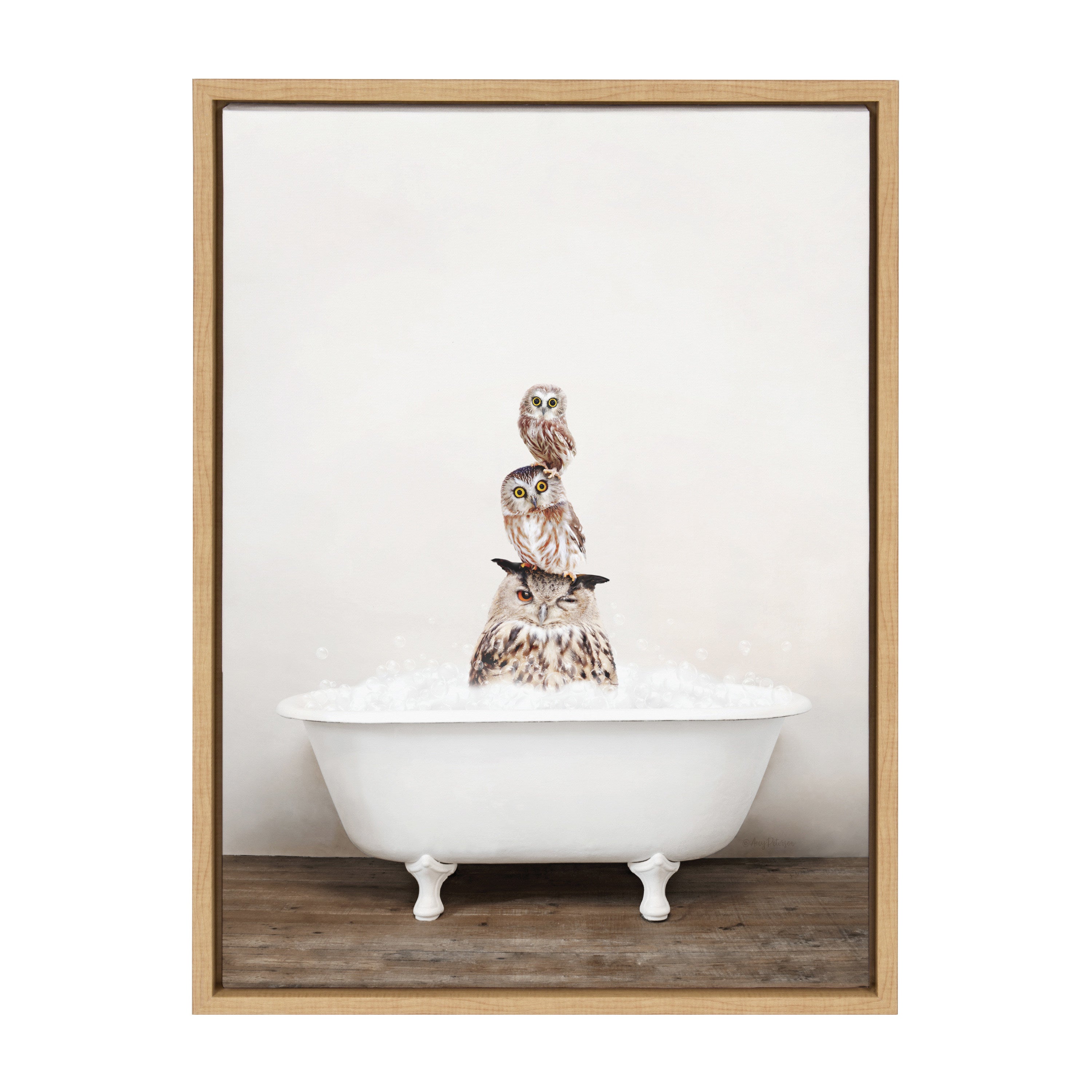 Sylvie Stacked Owls in Rustic Bath Framed Canvas by kateandlaurel - product image 20 for Resin Society