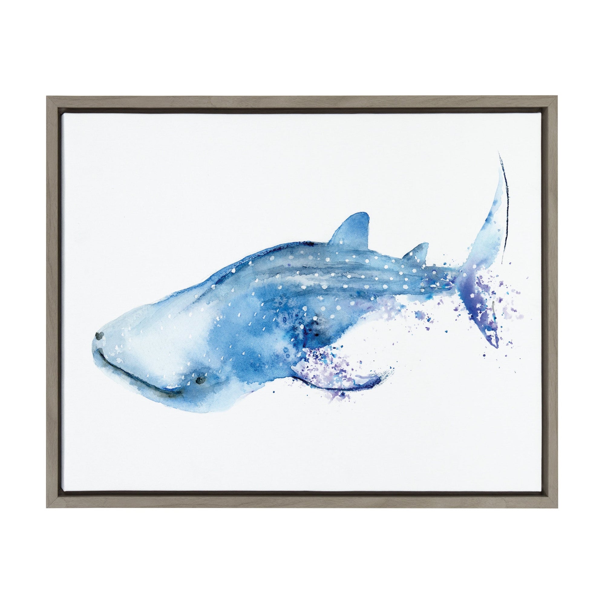 Sylvie Whale Shark Framed Canvas Art by Cathy Zhang by kateandlaurel - main product image for Resin Society