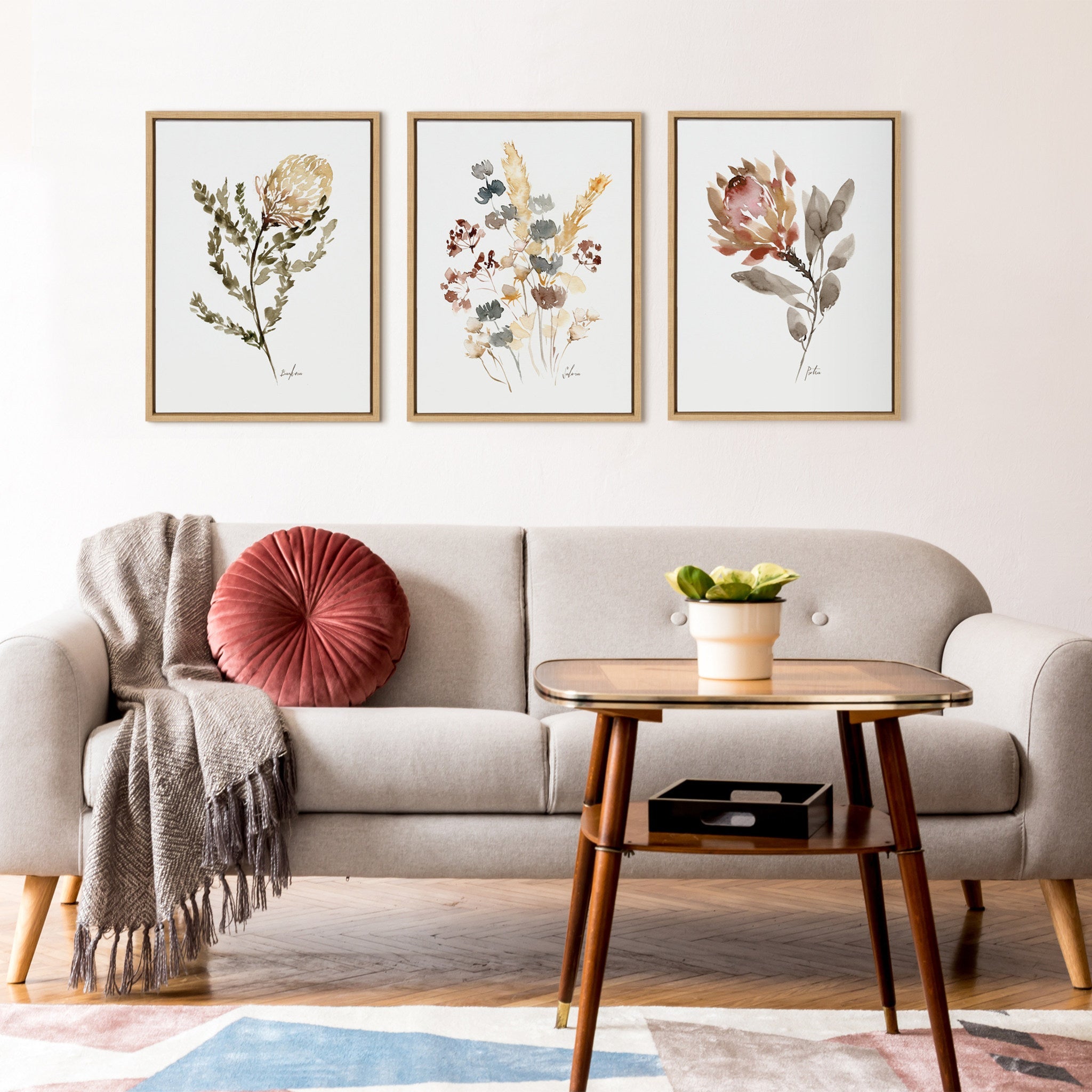 Sylvie Wild King Protea Framed Canvas by kateandlaurel - product image 7 for Resin Society