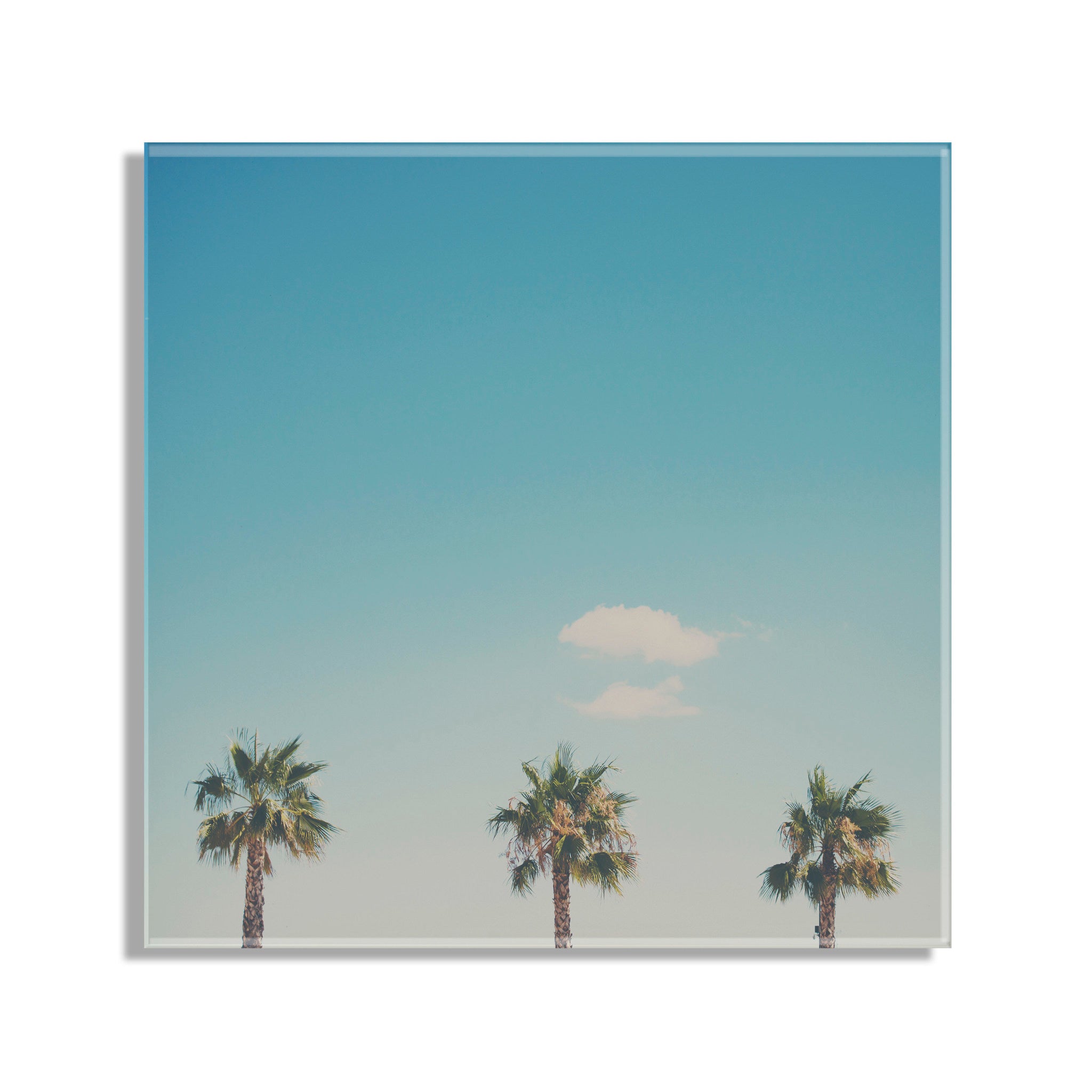 A Trio Of Palm Trees Floating Acrylic Art by kateandlaurel - product image 2 for Resin Society