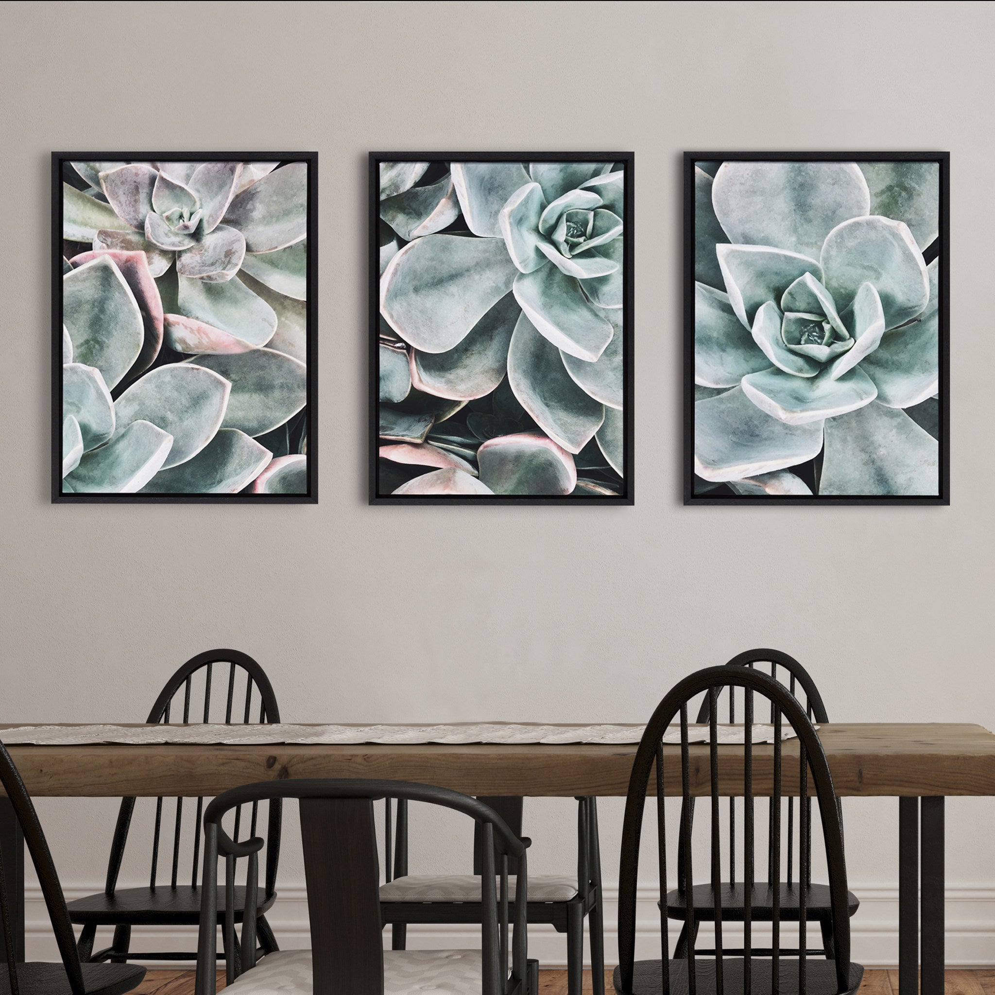 Sylvie Botanical Succulent Plants Framed Canvas Set by The Creative by kateandlaurel - product image 8 for Resin Society