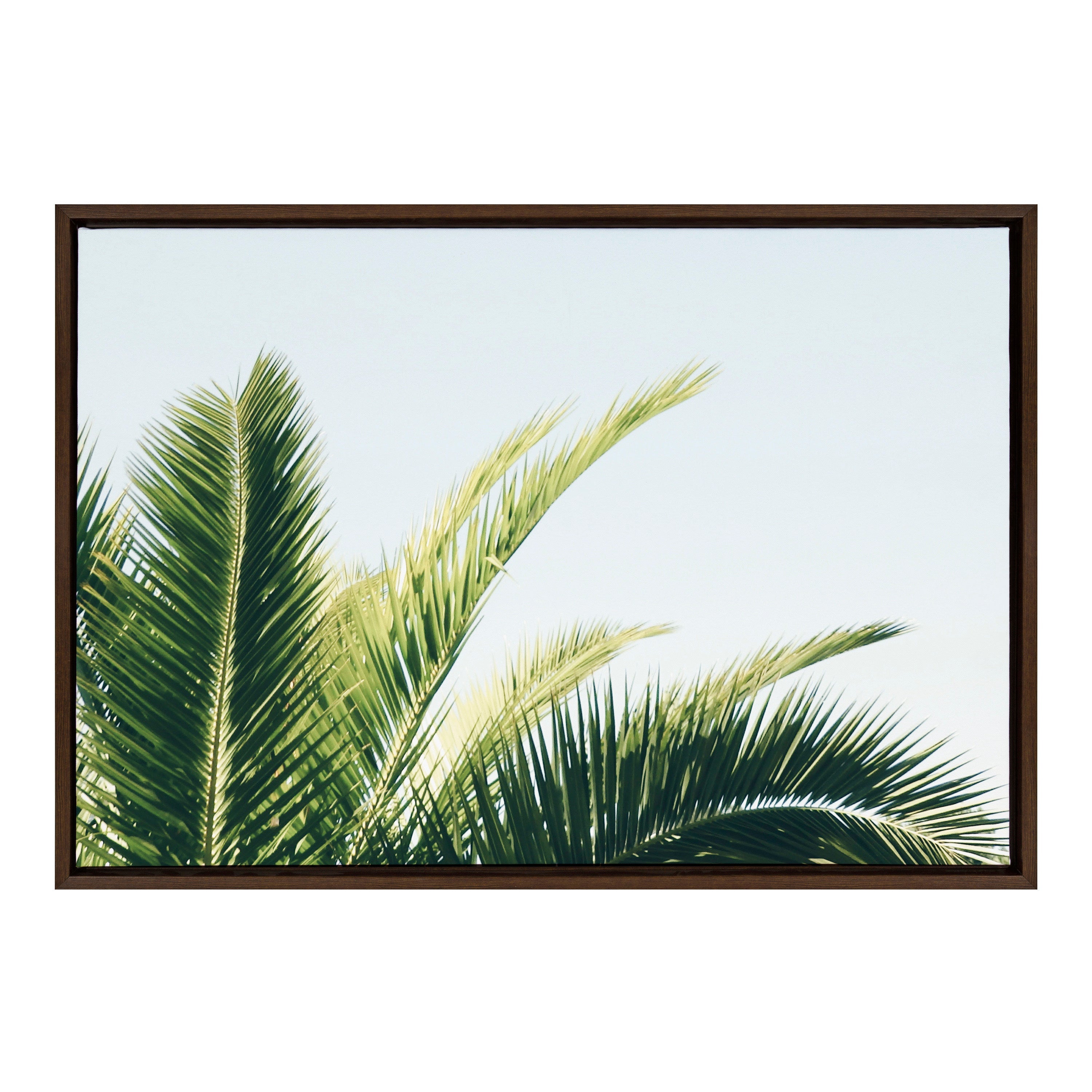 Sylvie Tropical Palm Under Blue Sky Framed Canvas by kateandlaurel - product image 16 for Resin Society
