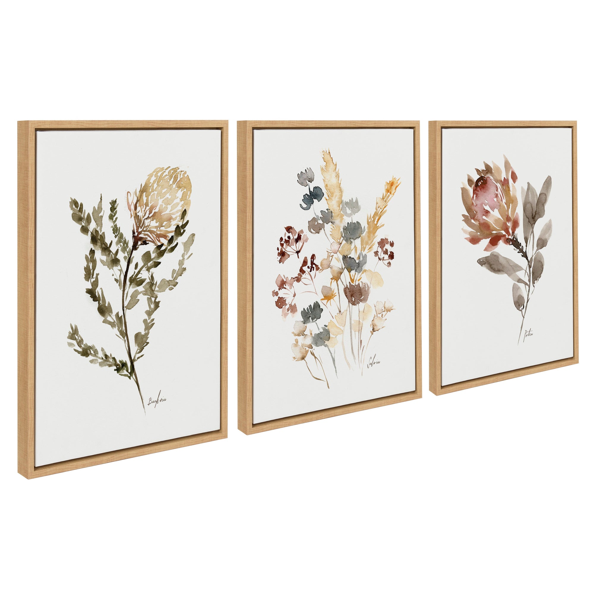 Sylvie Wild Banksia Wild Salvia and Wild King Protea Framed Canvas by kateandlaurel - main product image for Resin Society