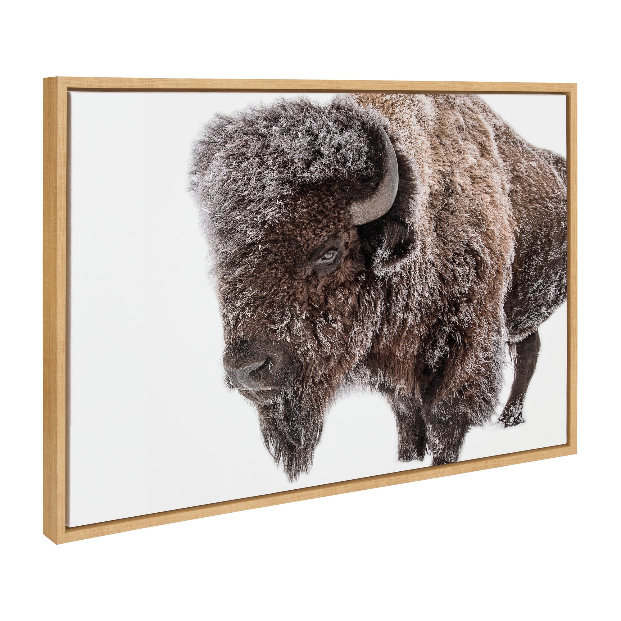 Sylvie Bison in Snow framed canvas art showing a bison in a snowy field