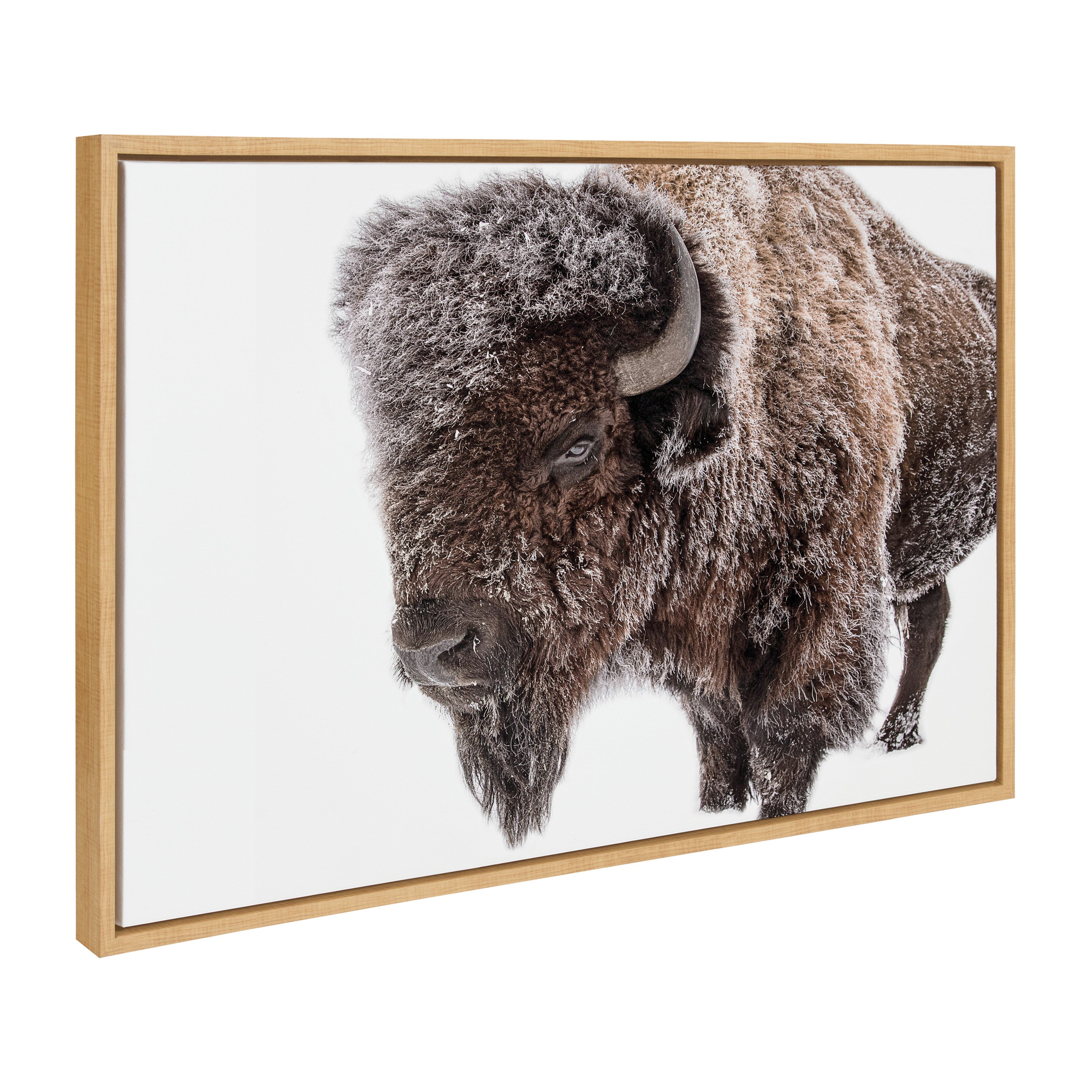 Sylvie Bison in Snow framed canvas art showing a bison in a snowy field