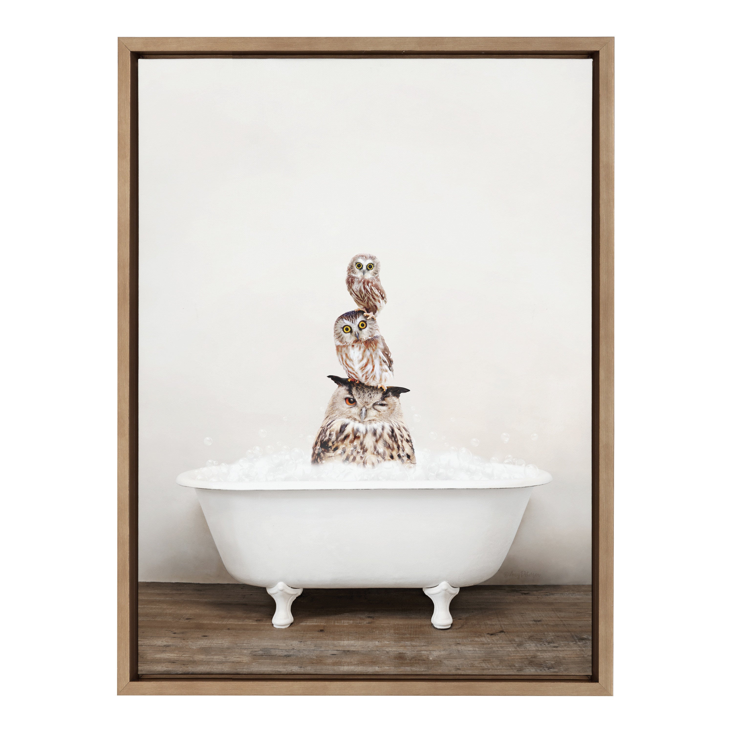 Sylvie Stacked Owls in Rustic Bath Framed Canvas by kateandlaurel - product image 8 for Resin Society