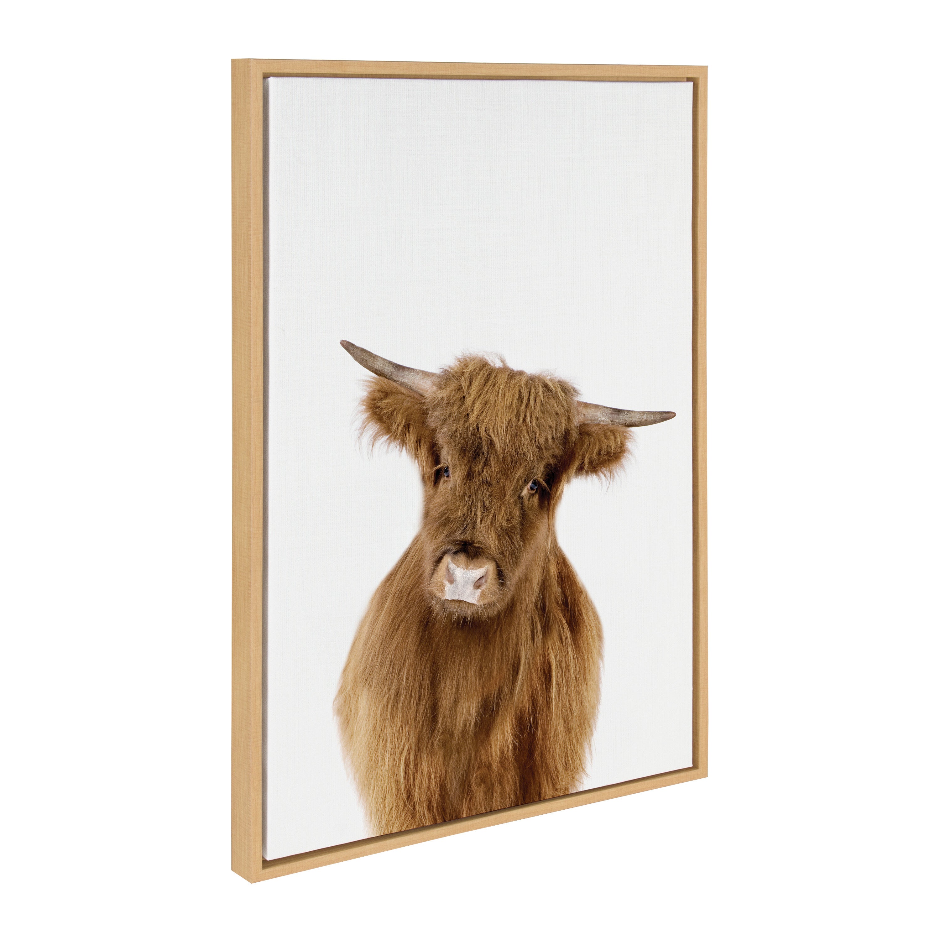 Sylvie Animal Studio Highland Framed Canvas by kateandlaurel - product image 11 for Resin Society