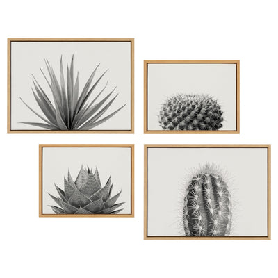 Framed canvas art set showing aloe succulent, tall cactus, short cactus, and agave succulent prints