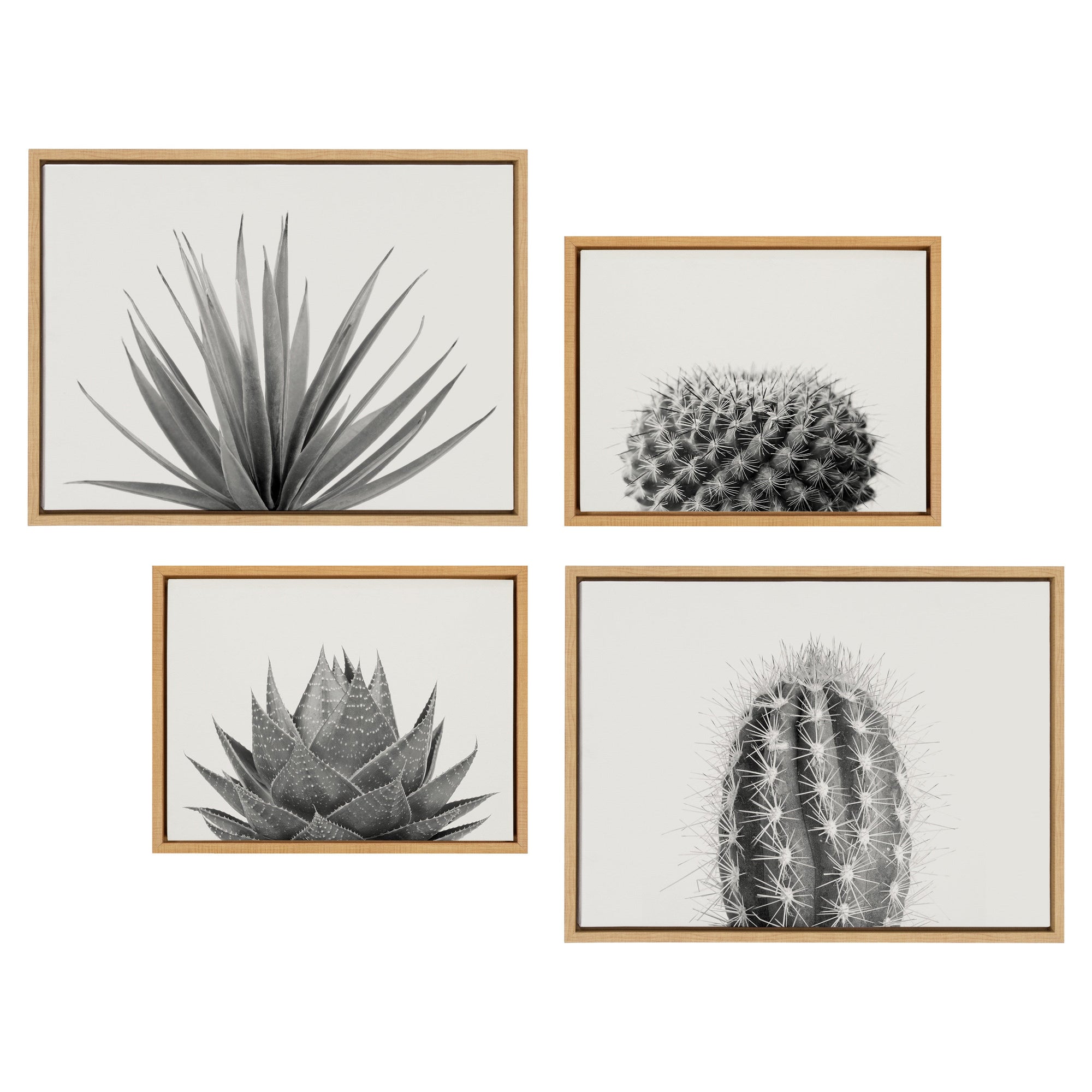 Sylvie Haze Aloe Succulent, Cactus Tall, Cactus Short and Agave Succulent Framed Canvas Art Set
