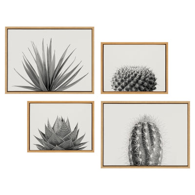 Sylvie Haze Aloe Succulent, Cactus Tall, Cactus Short and Agave Succulent Framed Canvas Art Set