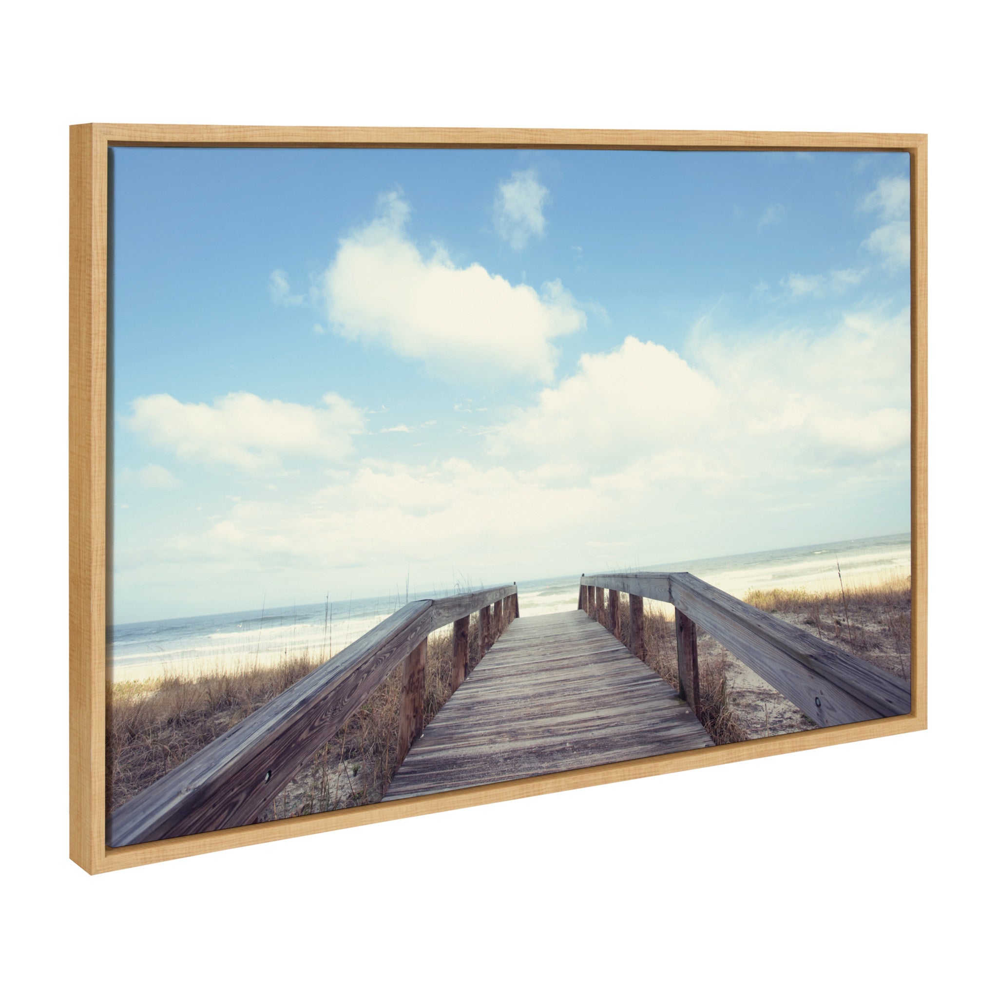 Sylvie To The Beach Framed Canvas by Matt Meyer by kateandlaurel - product image 17 for Resin Society