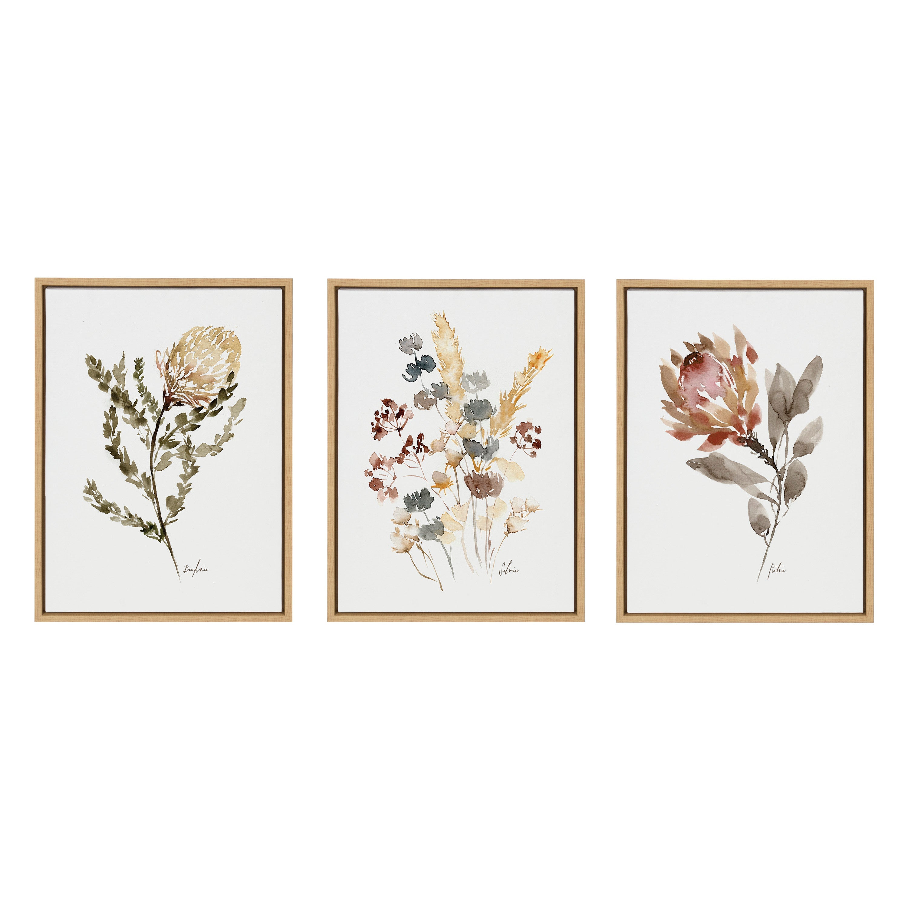 Sylvie Wild Banksia Wild Salvia and Wild King Protea Framed Canvas by kateandlaurel - product image 2 for Resin Society