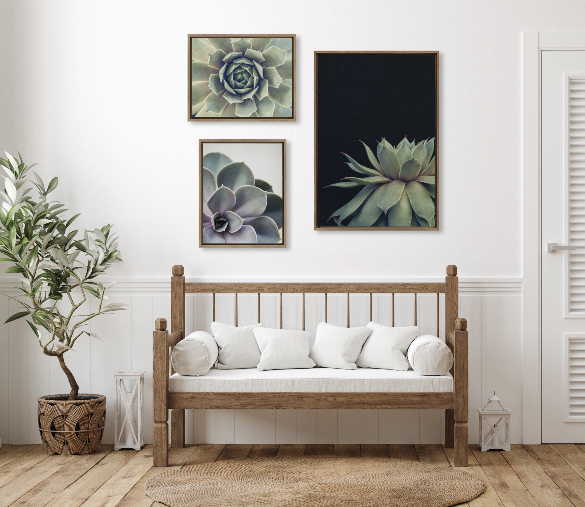 Sylvie Succulent Framed Canvas Set by Emiko and Mark Franzen of F2Images by kateandlaurel - product image 6 for Resin Society