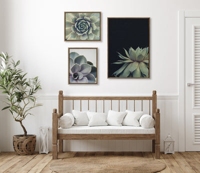 Sylvie Succulent Framed Canvas Set by Emiko and Mark Franzen of F2Images by kateandlaurel - product image 6 for Resin Society