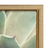 Sylvie Succulent 1 Framed Canvas by kateandlaurel - product image 3 for Resin Society