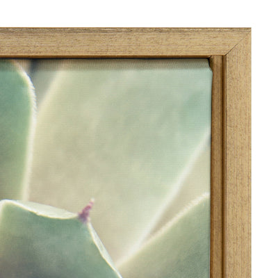 Sylvie Succulent 1 Framed Canvas by kateandlaurel - product image 3 for Resin Society