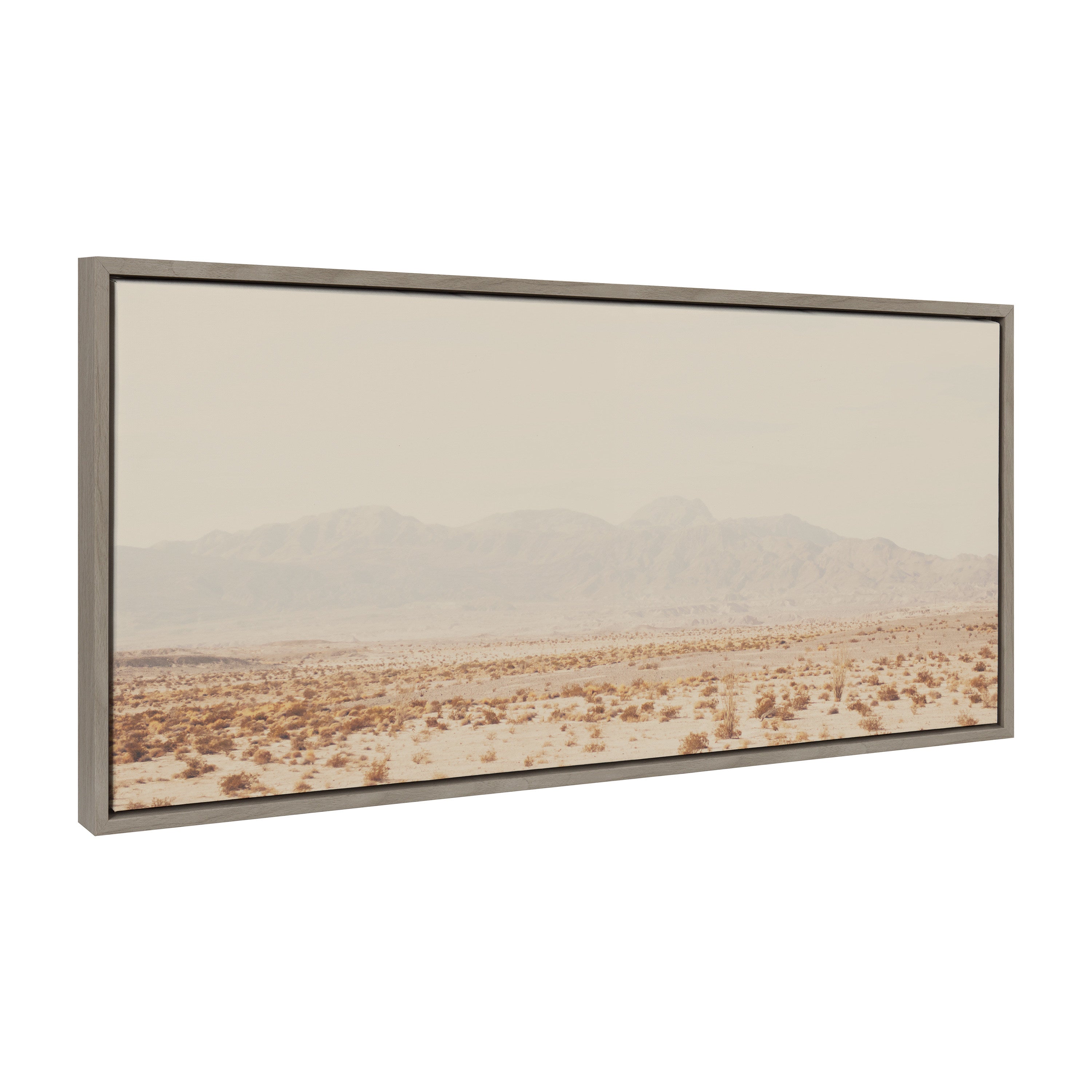 Sylvie California Dreaming Framed Canvas by Laura Evans