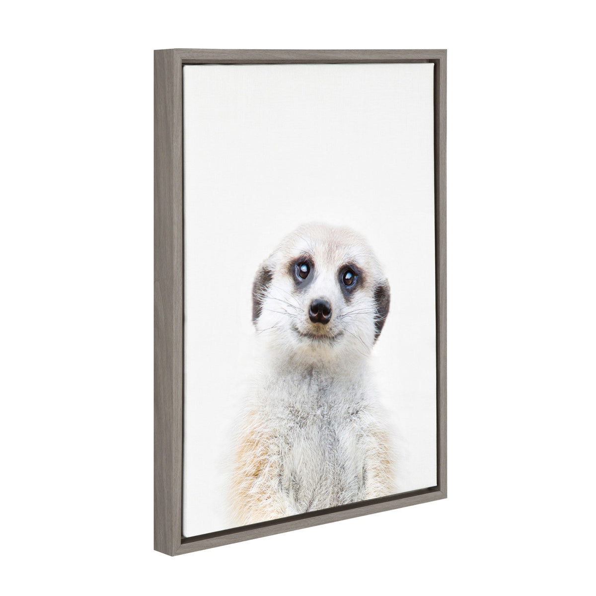 Sylvie Meerkat Framed Canvas by Amy Peterson by kateandlaurel - product image 2 for Resin Society