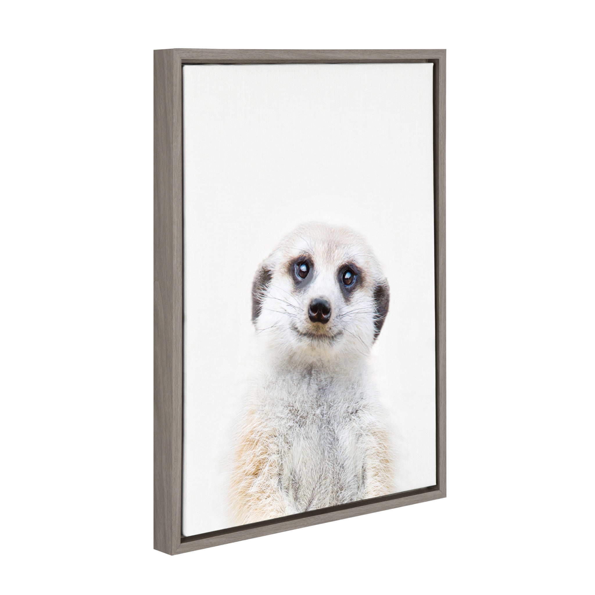 Sylvie Meerkat Framed Canvas by Amy Peterson by kateandlaurel - product image 2 for Resin Society