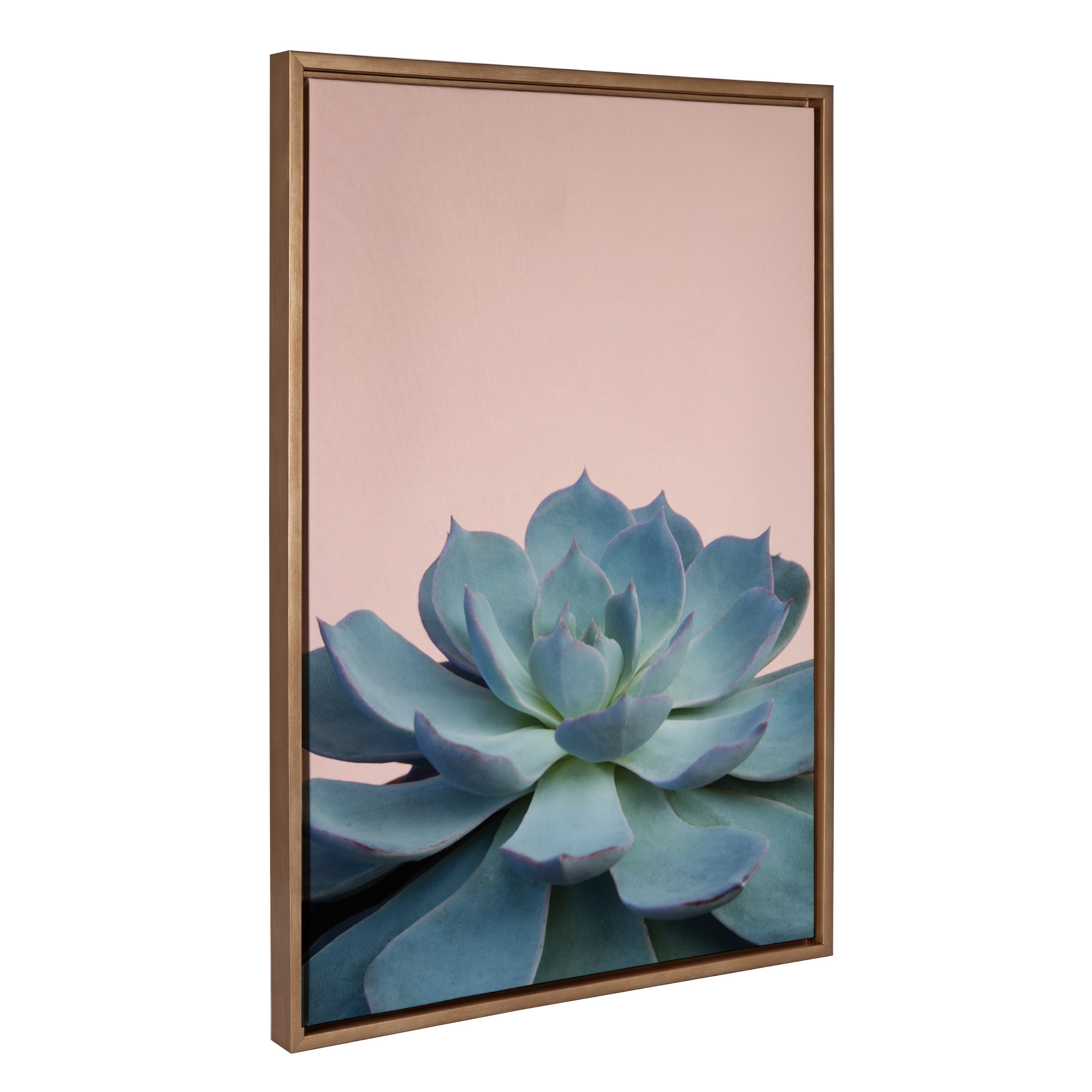 Sylvie Succulent 10 Framed Canvas by kateandlaurel - product image 7 for Resin Society