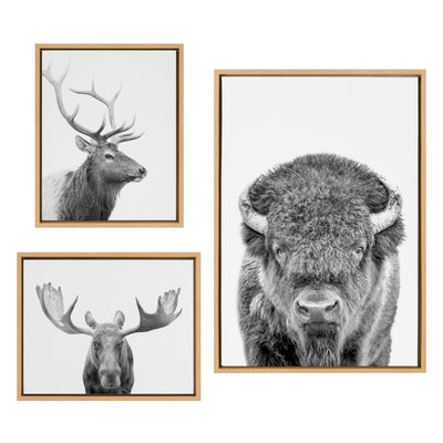 Sylvie Sylvie Bison Portrait Black and White, Stag Profile, and Moose Framed Canvas Art Set by Amy Peterson Art Studio